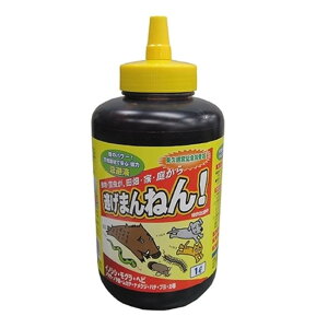 y労Ӊi zt ܂˂ Ō`16yԕiLZsz