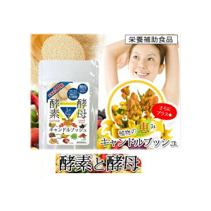 _CGbgTv yfƍyꁄ 90 N Tvg T|[g XbL NHi h{⏕Hi