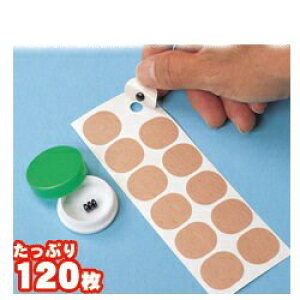 y[zylR|X̂݁zC×p ͂肩V[ 120 CV[ 莝̎Coėp C×p ͂肩V[