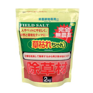 ށu͂ꂿv2kg