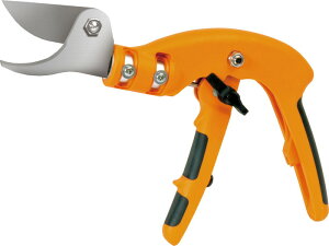 yiE労ӉizsXg^ pP[XE艤R1ot {