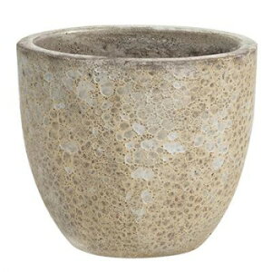 O[|bg Aؔ {J[m Eh N[ 33cm EB-VO3329CRy񂹕iAԕiLZsBiIAz