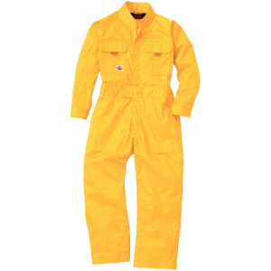 Ka 9009 LbYȂ 100TCY CG[(73) SOWAy񂹕iAԕiLZsBiIAz