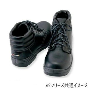 ACgX 59813 Z[teBV[Y(E^~hCq)(jp) ubN 24.5cmy񂹕iAԕiLZsBiIAz