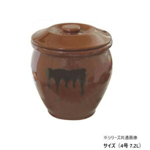 ۂ (Wt) 4 7.2Ly񂹕iAԕiLZsBiIAz