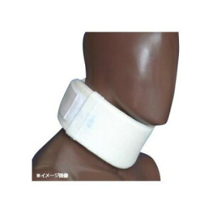 {q 򕔌ŒуG[XJ[\tg2 L 38cm`44cm 1 258y񂹕iAԕiLZsBiIAz