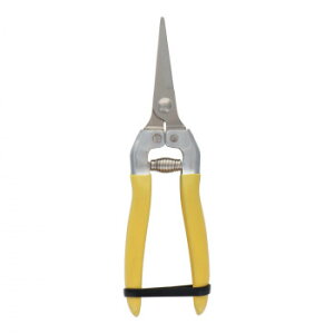 y[ցz sitaXeXMUn@185mm@A012@331012y񂹕iAԕiLZsBiIAz