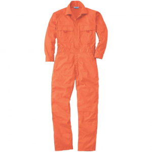 Ka 9800 Ȃ MTCY IW(74) SOWAy񂹕iAԕiLZsBiIAz