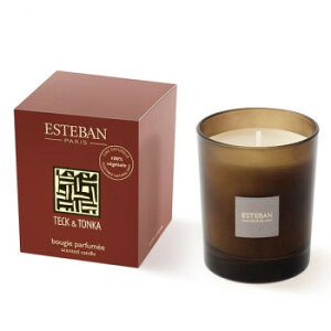 { ESTEBAN(GXeo) ebPgJ Lh 54012y񂹕iAԕiLZsBiIAz