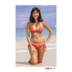 ジグソーパズル 1000ピース アグネス イン ラニカイ (アグネス・ラム)【お寄せ品、返品キャンセル不可。欠品終売時連絡あり】