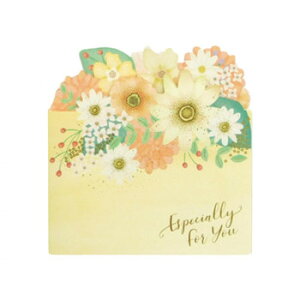 y[ցz t[AR[fBIF N[ 62-196y񂹕iAԕiLZsBiIAz