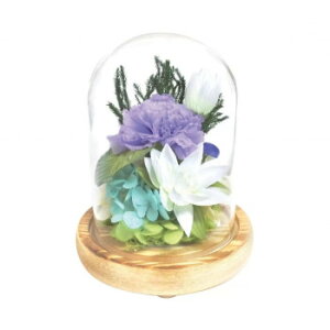 KXh[AWg ĉ/Ȃ@C29450y񂹕iAԕiLZsBiIAz