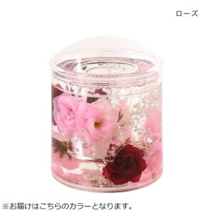 �A�N�����Ȗ_���� ���[�Y 30120951015�y���񂹕i�A�ԕi�L�����Z���s�B���i�I�����A������z