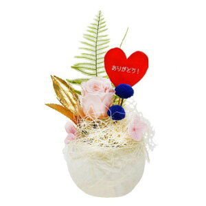 AK {vU[uht[ 񂿂 sN[Y (肪ƂsbN) BC-002Py񂹕iAԕiLZsBiIAz