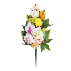 p@lGԁ@vU[uht[@r(cL)@EZE@L@C37501Ly񂹕iAԕiLZsBiIAz