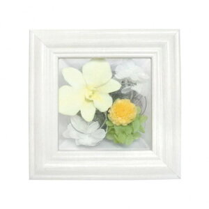 KXt[@vU[uht[@()@L@C32830Ly񂹕iAԕiLZsBiIAz