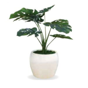 Xe KM 165750y񂹕iAԕiLZsBiIAz