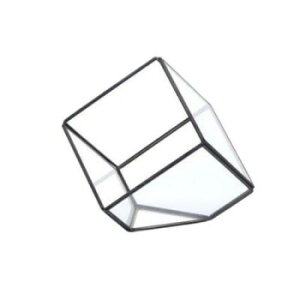 eE XNGAS 152071y񂹕iAԕiLZsBiIAz