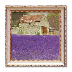 �~�j�Q�� �A�[�g�t���[�� �u���b�g �X�^�[�����O�u�^�X�J�� ���x���_�[�v BS-02001�y���񂹕i�A�ԕi�L�����Z���s�B���i�I�����A������z