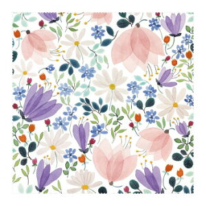 y[ցz UB[i~j}bNX Anna Emilia Kl@ 1 AE-6y񂹕iAԕiLZsBiIAz