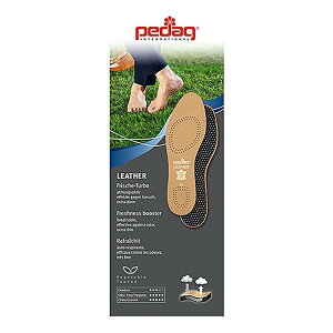 Pedag(y_bN) U[ Art.1101 34/35y񂹕iAԕiLZsBiIAz