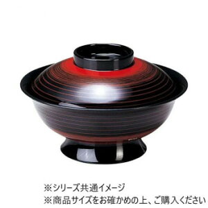 Ntg@5.5o JX~ 12025650y񂹕iAԕiLZsBiIAz