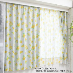 fBYj[ Ɩb x J[e2Zbg 100×200cm SB-634-Dy񂹕iAԕiLZsBiIAz