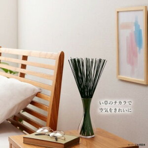 tOX  u IuWF 70cm 50g p[v 1370040230504y񂹕iAԕiLZsBiIAz