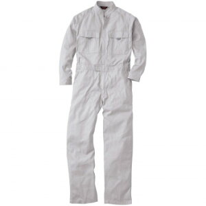 Ka 9000 Ȃ LLTCY Vo[O[(22) SOWAy񂹕iAԕiLZsBiIAz