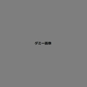 F 6.0 OF 3413606000021y񂹕iAԕiLZsBiIAz