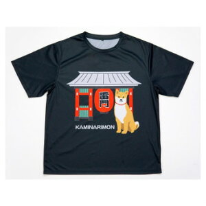 �t�����Y�q���@T�V���cXL�@�J�~�i�������V�o�^�@�u���b�NHW-382-150�y���񂹕i�A�ԕi�L�����Z���s�B���i�I�����A������z