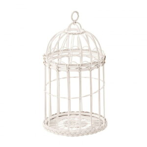 oXPbg GK832WWy񂹕iAԕiLZsBiIAz