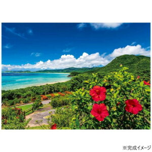 WO\[pY i CƃnCrXJX Ă̐Ί_() 500s[X 05-1097y񂹕iAԕiLZsBiIAz