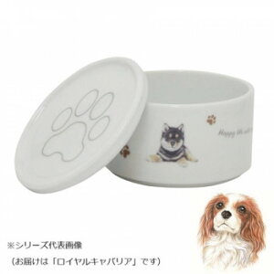 わんコレ スタッカーSET(小) ロイヤル キャバリア wa-se100-G11【お寄せ品、返品キャンセル不可。欠品終売時連絡あり】