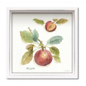 nX ~jA[gt[ T I[fBbguI[Lbh u[4v LA-01202y񂹕iAԕiLZsBiIAz