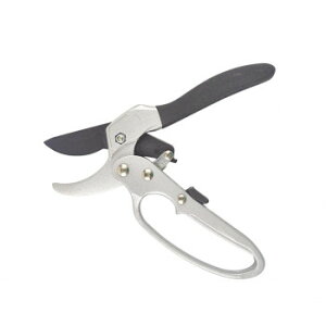 y[ցz `Fbg͂ ubNy񂹕iAԕiLZsBiIAz