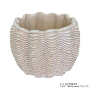 ���c���Y�� �V�F���|�b�g L 2049�y���񂹕i�A�ԕi�L�����Z���s�B���i�I�����A������z