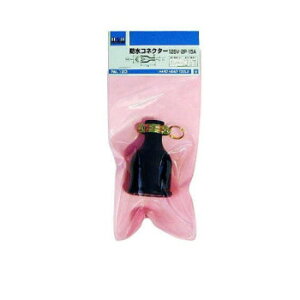 H��H�@�h���{�f�B�@125V15A�@2P�@123�@242123�y���񂹕i�A�ԕi�L�����Z���s�B���i�I�����A������z