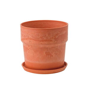 81038 A[ovc|bg \bh Lbgy񂹕iAԕiLZsBiIAz