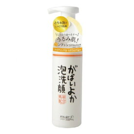 がばいよか泡洗顔　200ml　GA-30【お寄せ品、返品キャンセル不可。欠品終売時連絡あり】
