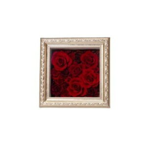 t[AW xbV bh F-6081y񂹕iAԕiLZsBiIAz