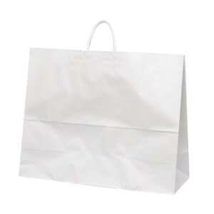 yiz܁@HV160@N@n 100 XZV01010y񂹕iAԕiLZsBiIAz