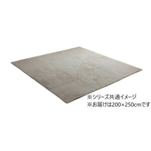 �y���[�J�[�����i��^�j�z���O�}�b�g ��3�� �u���s�A�X�v 200×250cm PGY �p�[���O���[ 1280311131303�y���񂹕i�A�ԕi�L�����Z���s�B���i�I�����A������z