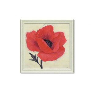 �y���[�J�[�����i��^�j�z�A�[�g�t���[�� �A�C�{�u�W���[�r�����g �|�s�[�v IV-14001�y���񂹕i�A�ԕi�L�����Z���s�B���i�I�����A������z