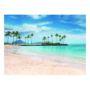 �y���[�J�[�����i��^�j�z�K���X�A�[�g�s�N�`���[ KAHALA HILTON BEACH DE010290�y���񂹕i�A�ԕi�L�����Z���s�B���i�I�����A������z