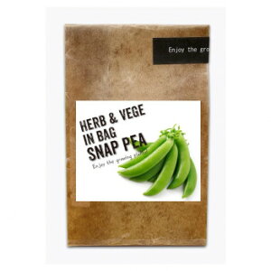 ͔|Lbg HERBVEGE IN BAG n[uxW CobO XibvGhE PB-14y񂹕iAԕiLZsBiIAz