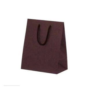 カラークラフト手提袋 T-2 ブラウン 1051 10枚【お寄せ品、返品キャンセル不可。欠品終売時連絡あり】