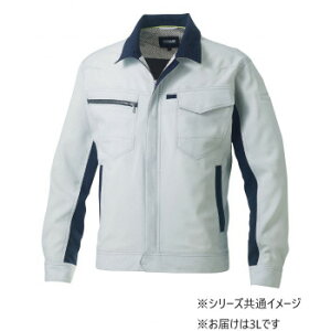 Ka 962 u] 3LTCY Vo[O[(22) SOWAy񂹕iAԕiLZsBiIAz