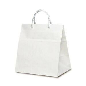 PP紐手提袋 T-ワイド 白無地(PP紐) 1738 50枚【お寄せ品、返品キャンセル不可。欠品終売時連絡あり】