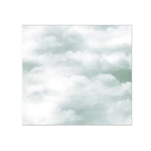  NEh(O[) S 734 100y񂹕iAԕiLZsBiIAz